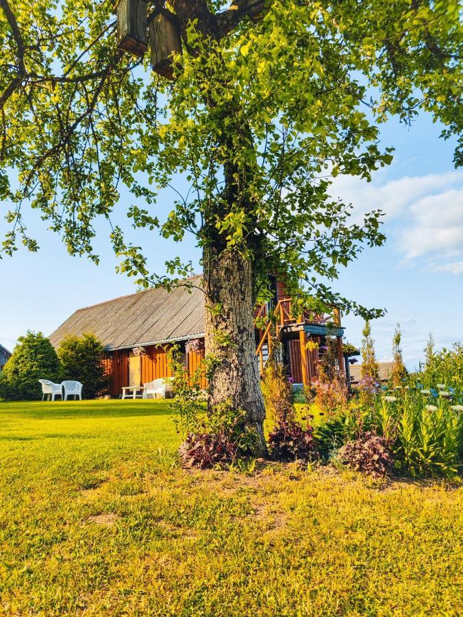 Zalioji Paduyelis Exterior foto