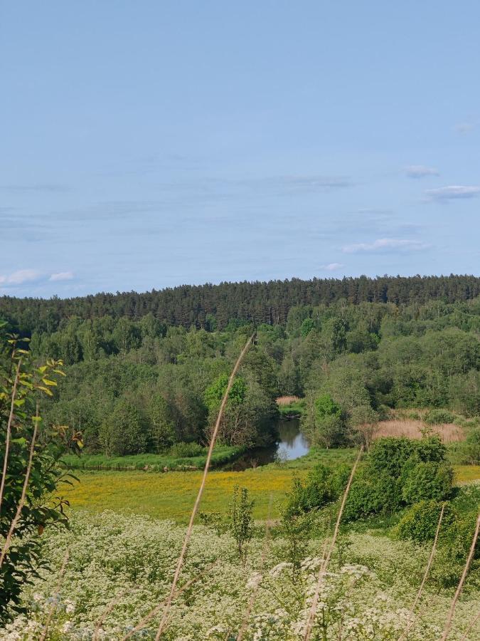 Zalioji Paduyelis Exterior foto