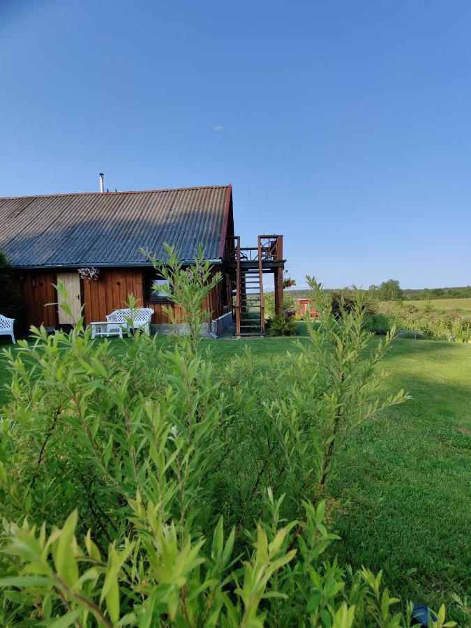 Zalioji Paduyelis Exterior foto