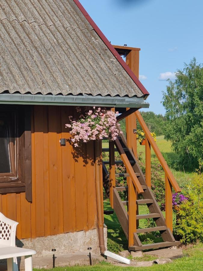 Zalioji Paduyelis Exterior foto